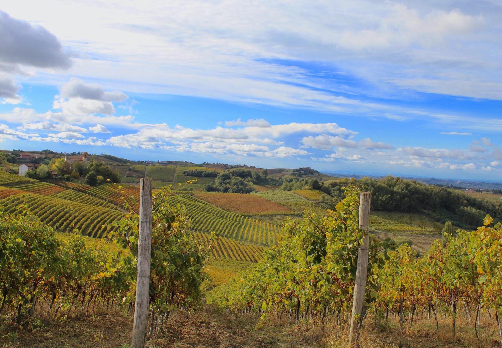 Calamandrana Amazing Langhe And Monferrato | House With Gardenヴィラ エクステリア 写真